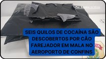 Seis quilos de cocaína são descobertos por cão farejador em mala no Aeroporto Internacional de Belo Horizonte