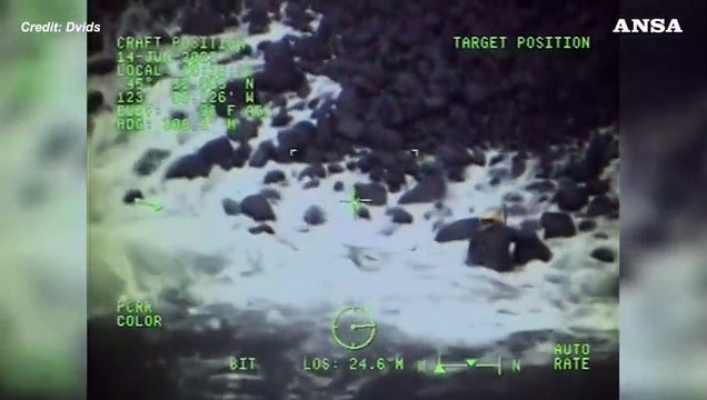 Usa, alla ricerca di Dory: salvato un cane caduto da una scogliera