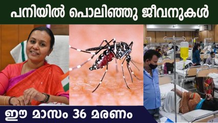 സംസ്ഥാനത്ത് ഡെങ്കിയും എലിപ്പനിയും പടരുന്നു | Amid Dengue and Rat fever concerns kerala,