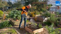 Roland Motte, jardinier : des solutions pour moins arroser au jardin
