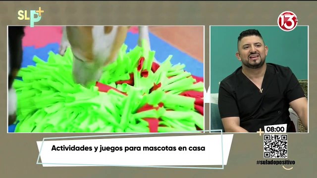 Actividades para hacer con nuestras mascotas