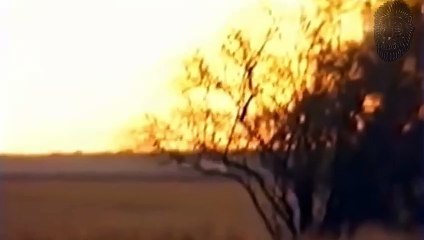 20 BRUTALE KARAKAL ANGRIFFE - AUF KAMERA FESTGEHALTEN