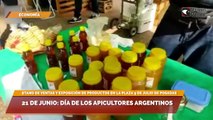 21 de junio: Día de los Apicultores Argentinos