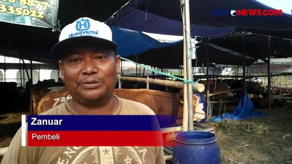 Tawarkan Sapi Kurban, SPG Cantik Berpakaian Ala Koboi di Surabaya