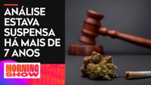 STF retoma julgamento sobre descriminalização de drogas para consumo próprio