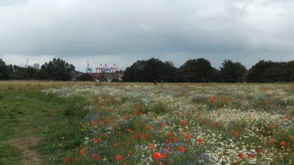 Controversial Rimrose Valley road removed from map - LiverpoolWorld Headlines