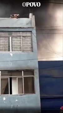 Sem teto escala prédio em chamas e salva 25 cachorros no Peru