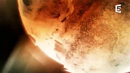 Comment l'Afrique est-elle née  - ZAPPING SAUVAGE
