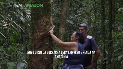 Novo ciclo da borracha gera emprego e renda na Amazônia