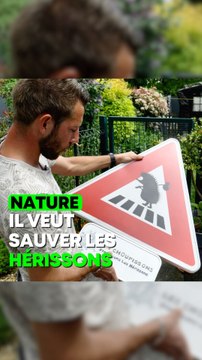 Jérémy veut sauver les hérissons grâce à des panneaux routiers