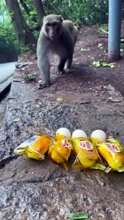 Leave the rest for the next monkey_