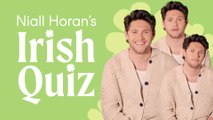 Niall Horan on his favourite Irish slang and the ideal day in Mullingar