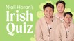 Niall Horan on his favourite Irish slang and the ideal day in Mullingar