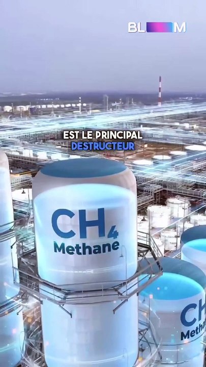 Bill Gates veut réduire le gaz issu de l’élevage bovin ! 