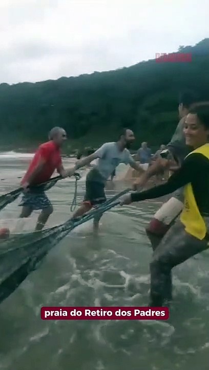 Mais de 7 mil tainhas são capturadas no Retiro dos Padres