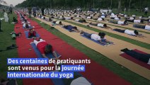 Les Indiens participent à la Journée internationale du yoga à Delhi