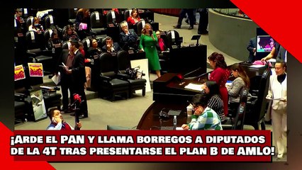 ¡VEAN! ¡El PAN se arde y llama borregos a diputados de la 4T tras presentarse ‘el plan B’ de AMLO!