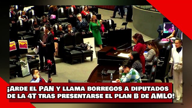 ¡VEAN! ¡El PAN se arde y llama borregos a diputados de la 4T tras presentarse ‘el plan B’ de AMLO!