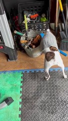 Princess needed help with golf club