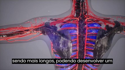 Cópia de VSL ULTIMATE