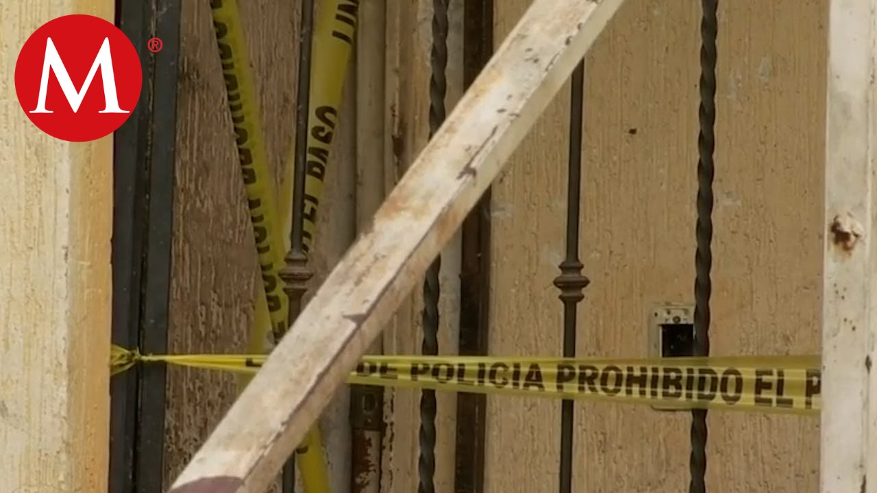 Vinculan a proceso a Eduardo 'N' presunto responsable del asesinato de 16 perros en Jalisco