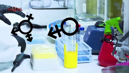 Doğu Perinçek yazdı: "Doğada üçüncü bir cinsiyet yok"