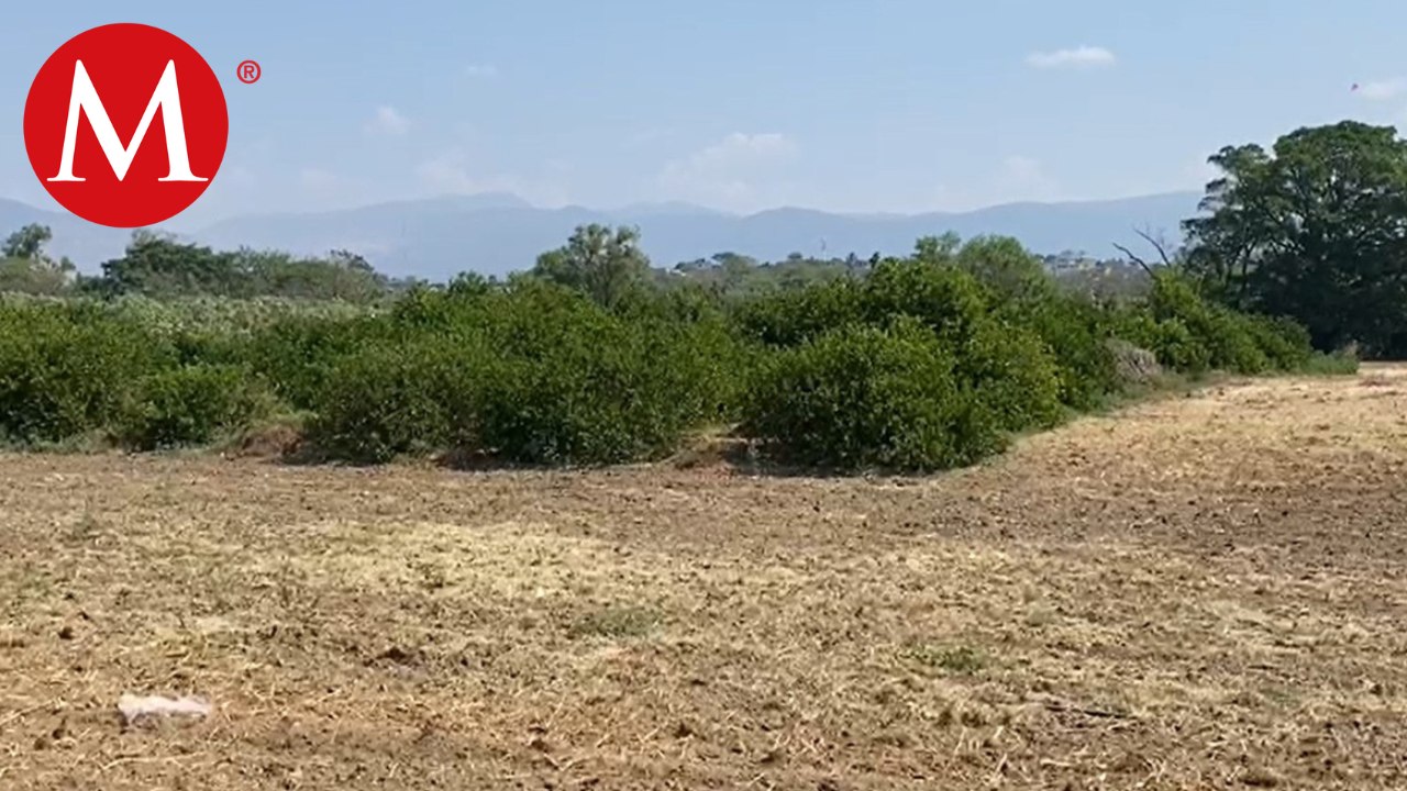 Municipios de Chiapas se ven afectados por la s...