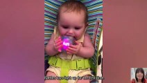 Hello Cactus_ Shall we become good friends _ Funny Baby Videos
