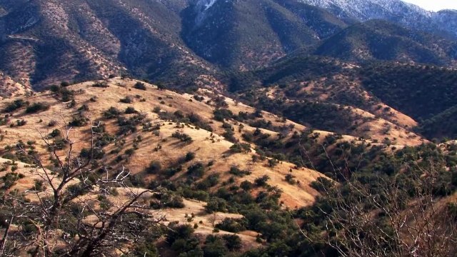 MeatEater - A Trip of Firsts Mexico Coues Deer and Javelina