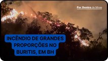 Incêndio de grandes proporções atinge mata no bairro Buritis, em Belo Horizonte