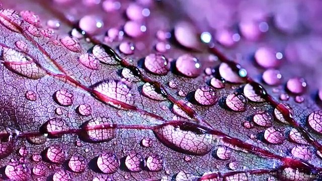 Rain Sounds and Soft Music for Sleeping, Meditation Music, Positive Healing,Relax, Guitar Music