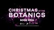 PREVIEW: Edinburgh's Christmas at the Botanics re-imagined for 2023