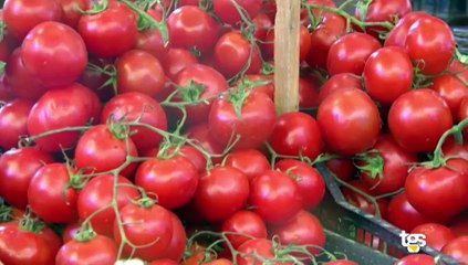 Di Che Pasta Sei - 3 Puntata 21 Giugno 2023