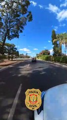 Tutor de yorkshire que ofereceu animal para sexo é indiciado por maus-tratos