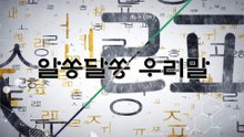 알쏭달쏭 우리말 11회