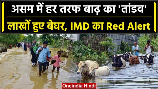 Cyclone Biparjoy: Assam में Flood से मची तबाही, लाखों लोग बेघर, IMD का Red Alert | वनइंडिया हिंदी