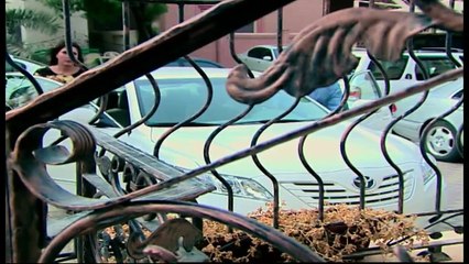 مسلسل الحب الكبير الحلقة 24 الرابعة والعشرون والاخيرة HD