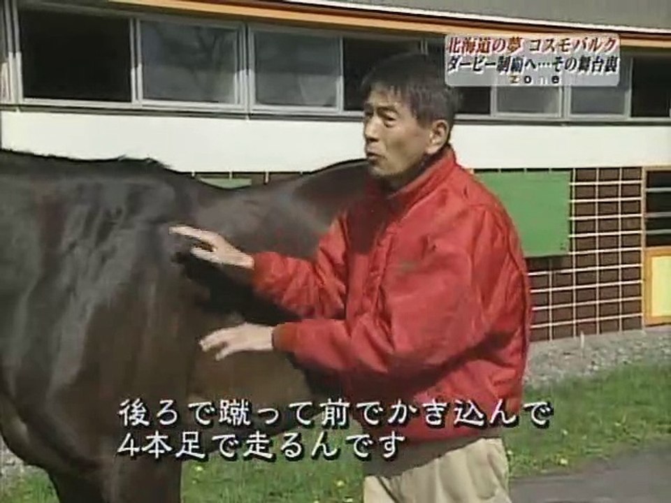 [競馬] [TV] 2004 人間解析ドキュメント ZONE 第207回 「北海道競馬の夢  コスモバルク～第２章～」（2004.06.06 TBS O.A）[640x480 DivX 5.11 MP3 96kbps 24m19s]P&P