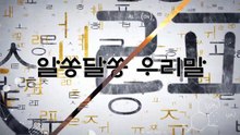 알쏭달쏭 우리말 34회