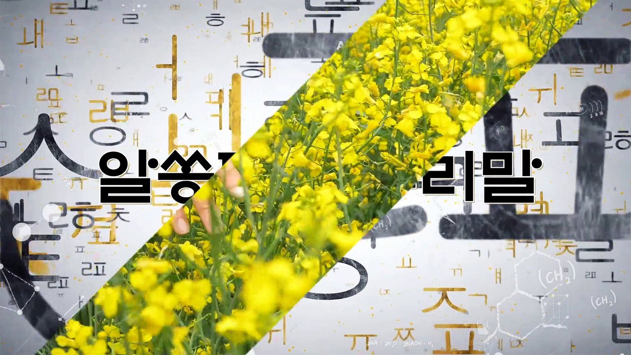 알쏭달쏭 우리말 40회