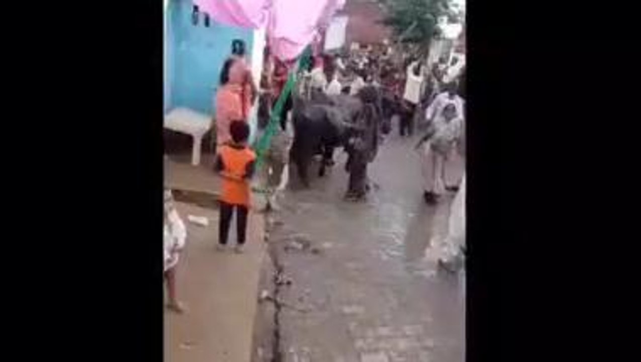 अलीगढ़: शादी समारोह के दौरान दो पक्षों में जमकर...