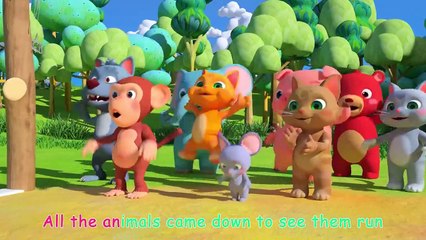 The Tortoise and the Hare - CoComelon Furry Friends - Animals for Kids