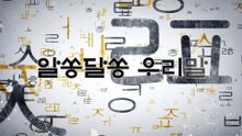 알쏭달쏭 우리말 5회