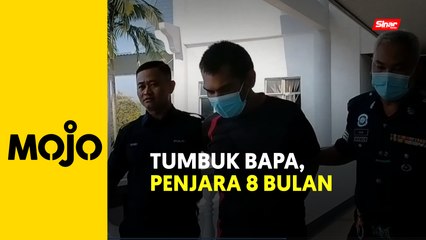 Penganggur tumbuk, hempas bapa dipenjara lapan bulan