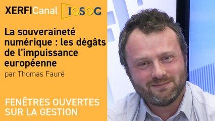 La souveraineté numérique : les dégâts de l'impuissance européenne [Thomas Fauré]