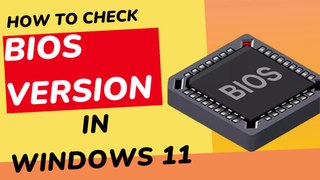 How to check bios version in windows 11