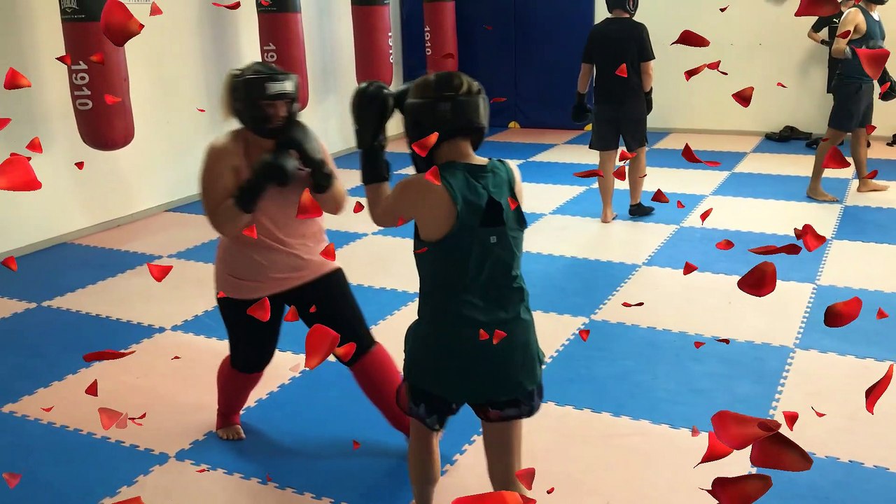 Kick boxing st sulpice  /tarn