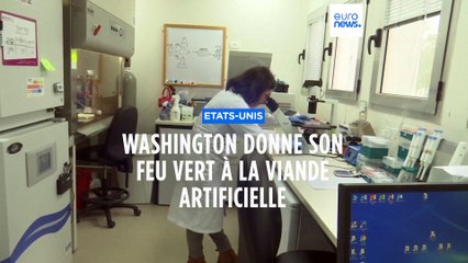 Les Etats-Unis autorisent la vente de viande de poulet cultivée en laboratoire