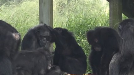 29 yıllık esaretin ardından gökyüzünü ilk kez gördü
