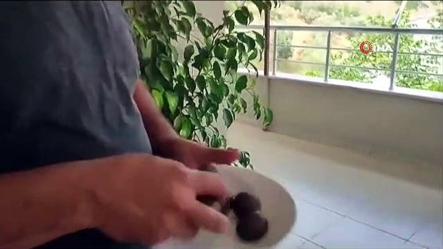 9 objets sortant de l'estomac de la victime ont surpris ceux qui l'ont vu